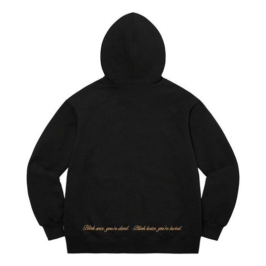 Supreme Aeon Flux Zip Up Hooded Sweatshirt 'Black Green Beige' SUP-SS22-192
