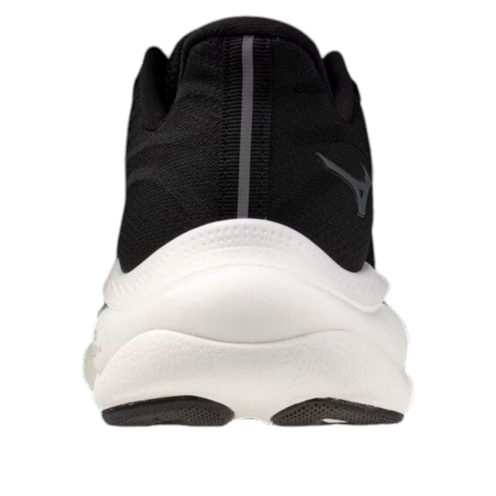 Mizuno Wave Sky 9 Wide 4E 'Black' J1GC251102