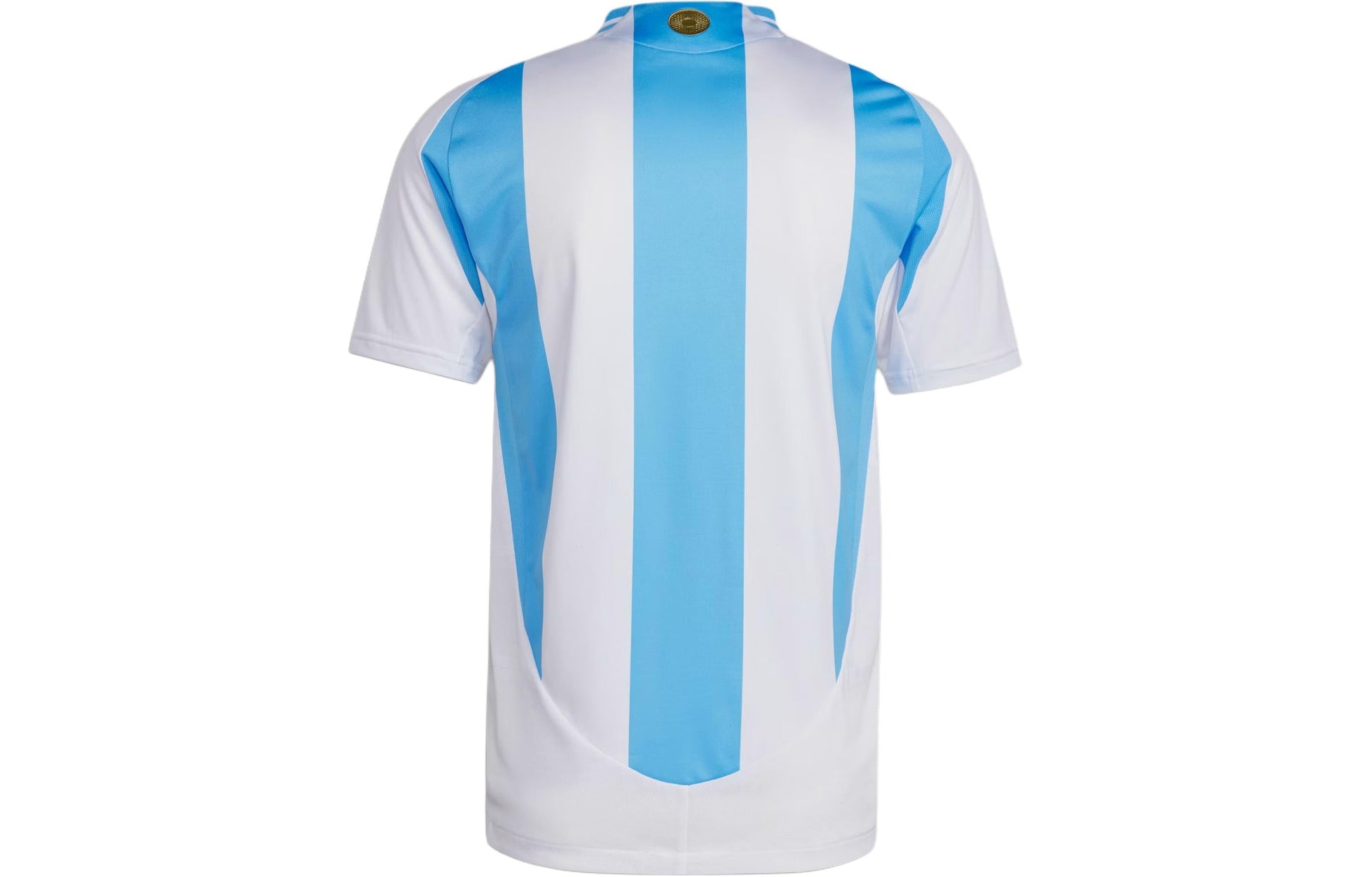 adidas Argentina 2024 Home Authentic Jersey Asia Sizing 'White Blue' IP8388