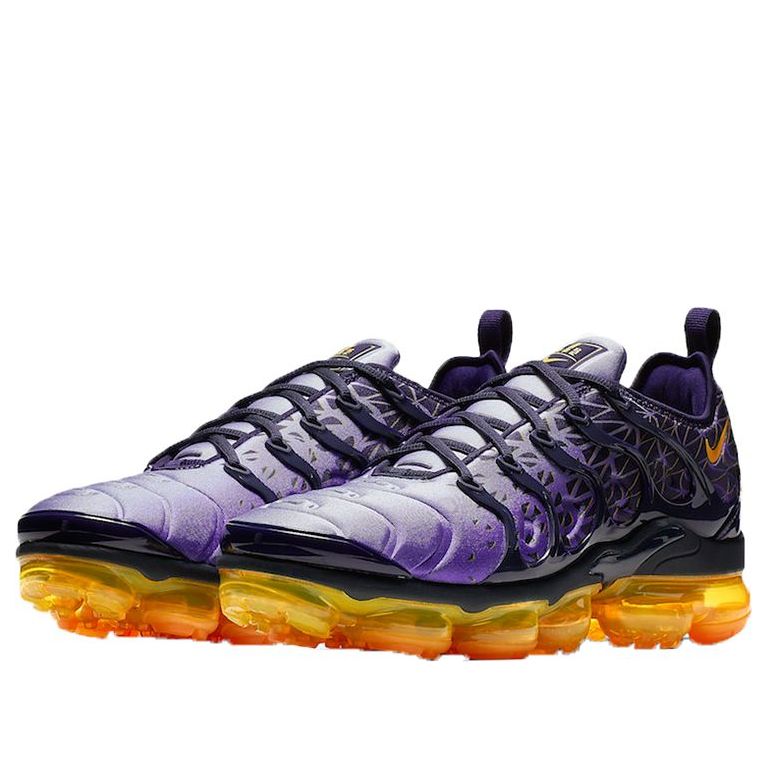 Nike Air VaporMax Plus 'Indigo Storm' 924453-406