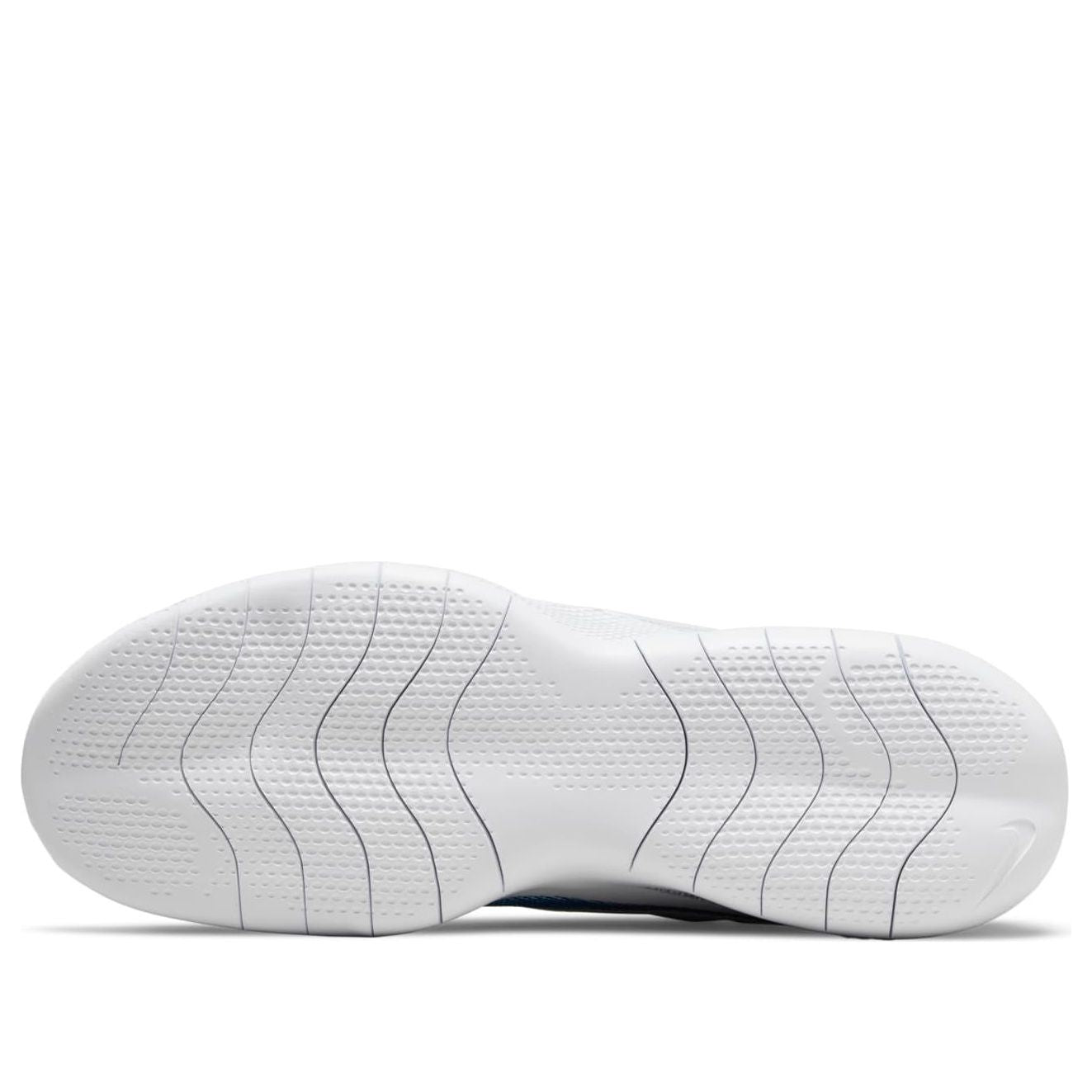 Nike Flex Experience Run 10 'Pure Platinum Imperial Blue' CI9960-010