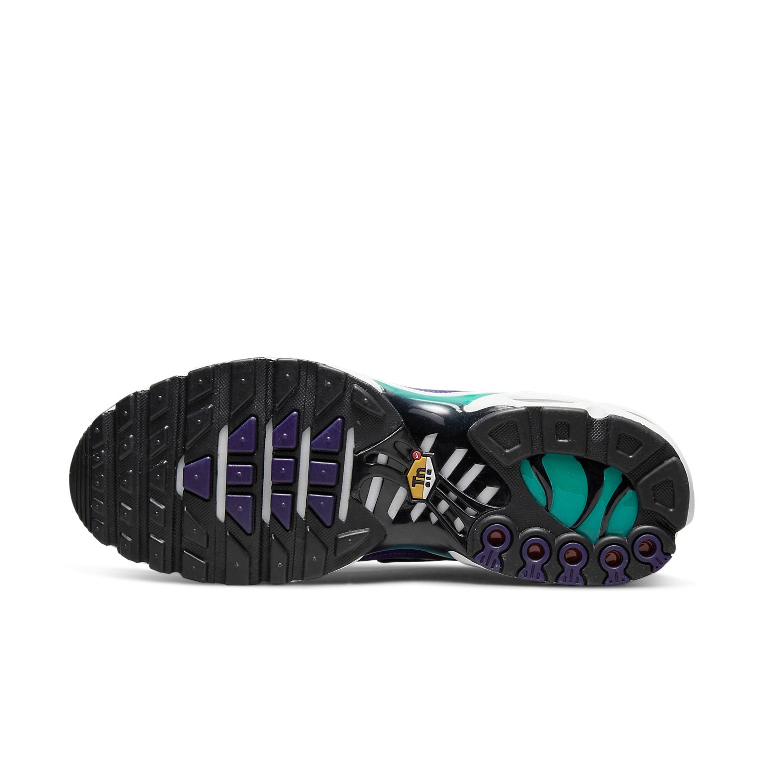 Nike Air Max Plus 'Grape' DM0032-100