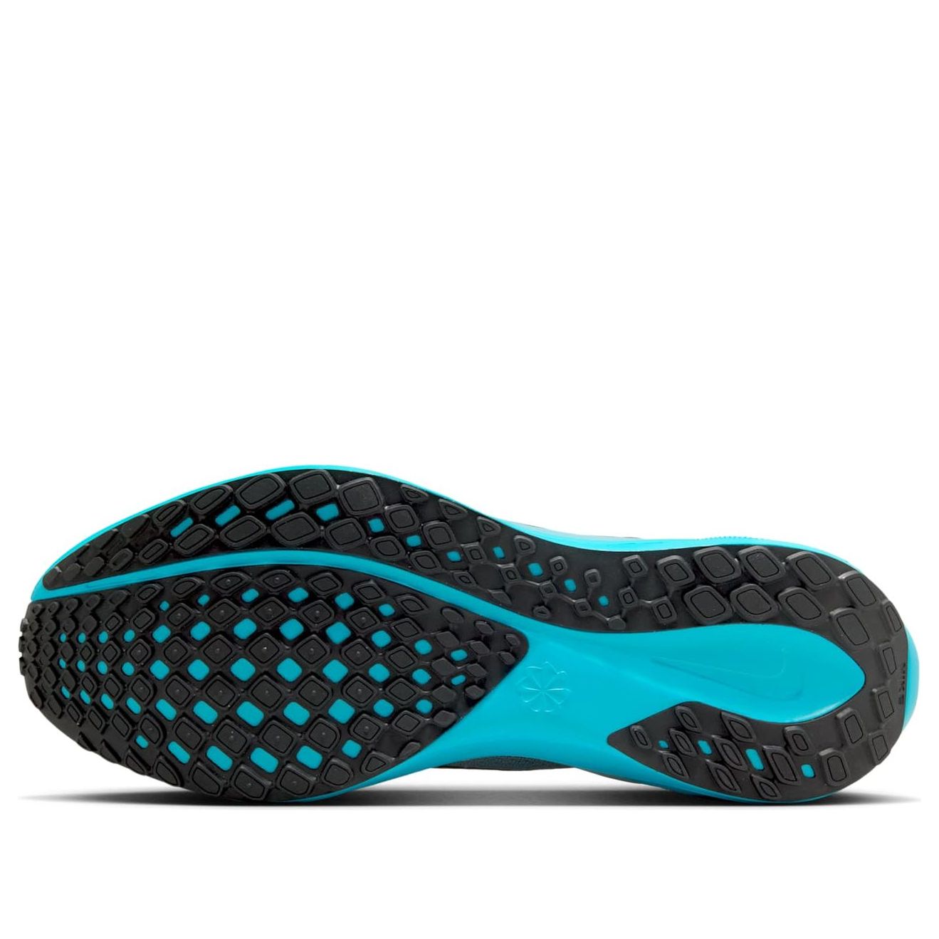 Nike Air Zoom Pegasus 41 'Light Silver Denim Turquoise Dusty Cactus Black' FD2722-012