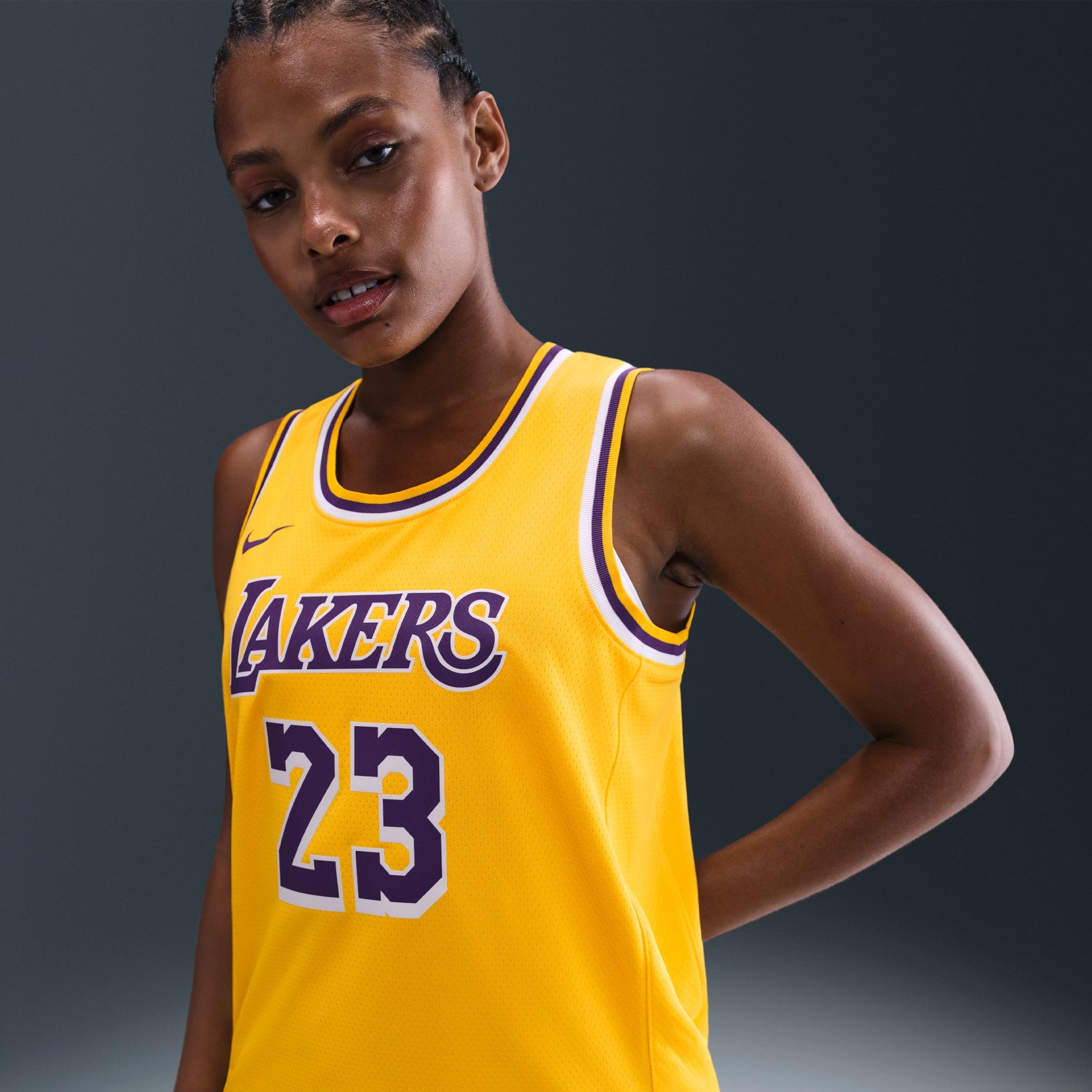 Nike x NBA Los Angeles Lakers Icon Edition 22-23 Jerseys 'LeBron James' DN2009-733