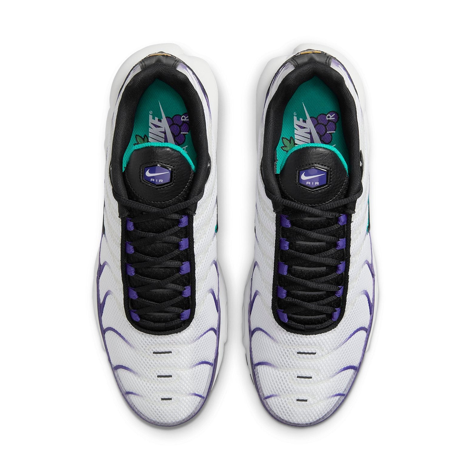 Nike Air Max Plus 'Grape' DM0032-100