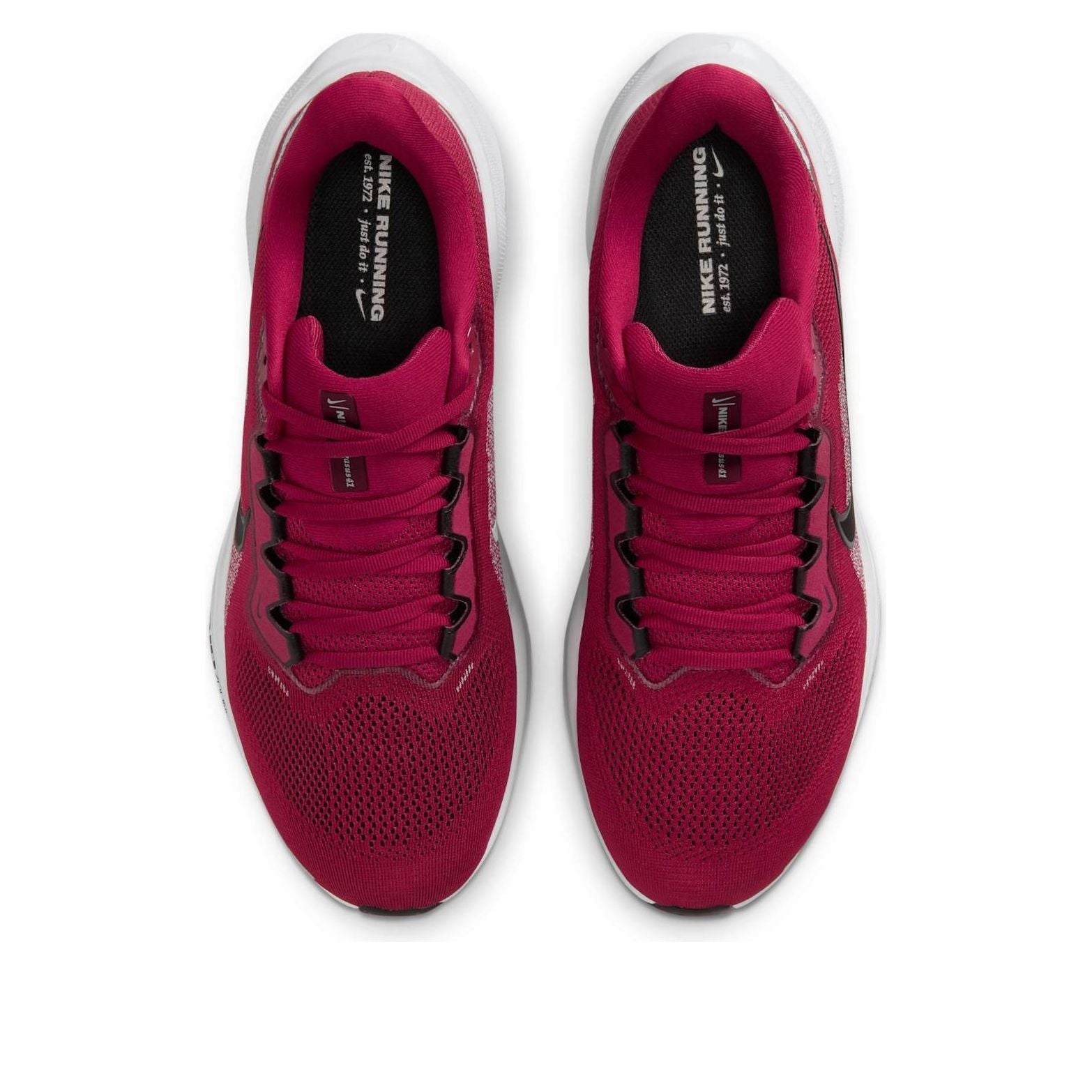Nike x NCAA Pegasus 41 'Arkansas' IB3246-600