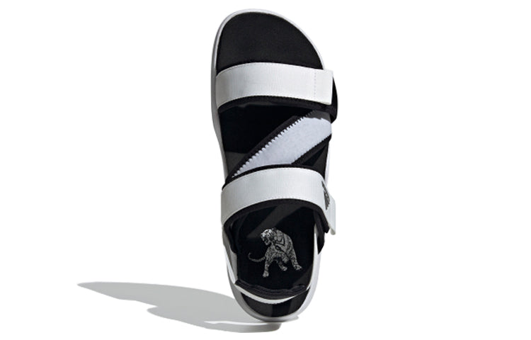 adidas Terrex Sumra 'White Black' FW4867