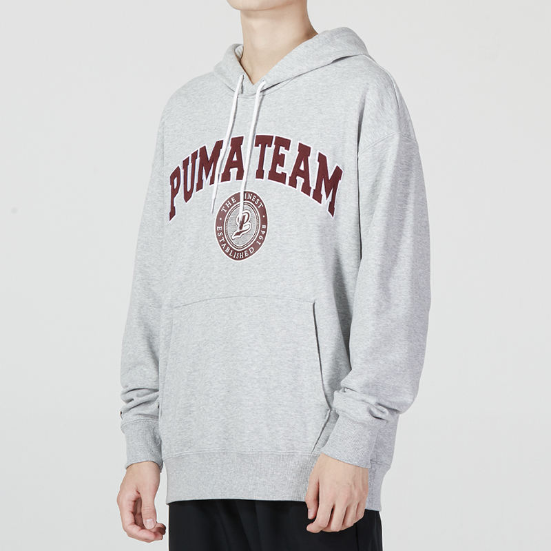 PUMA Team Hoodie 'Grey' 539274-04