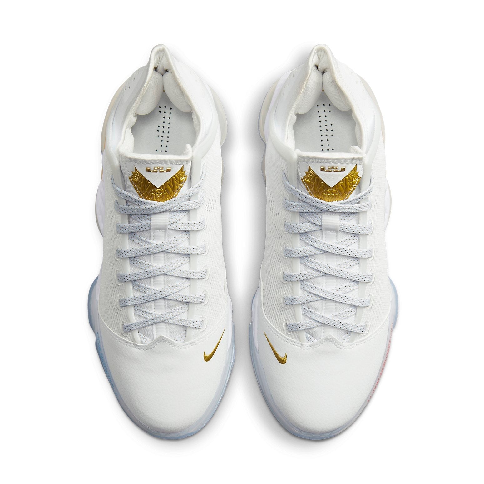 Nike x Titan LeBron 19 Low 'Beyond The Seas' DV3334-100