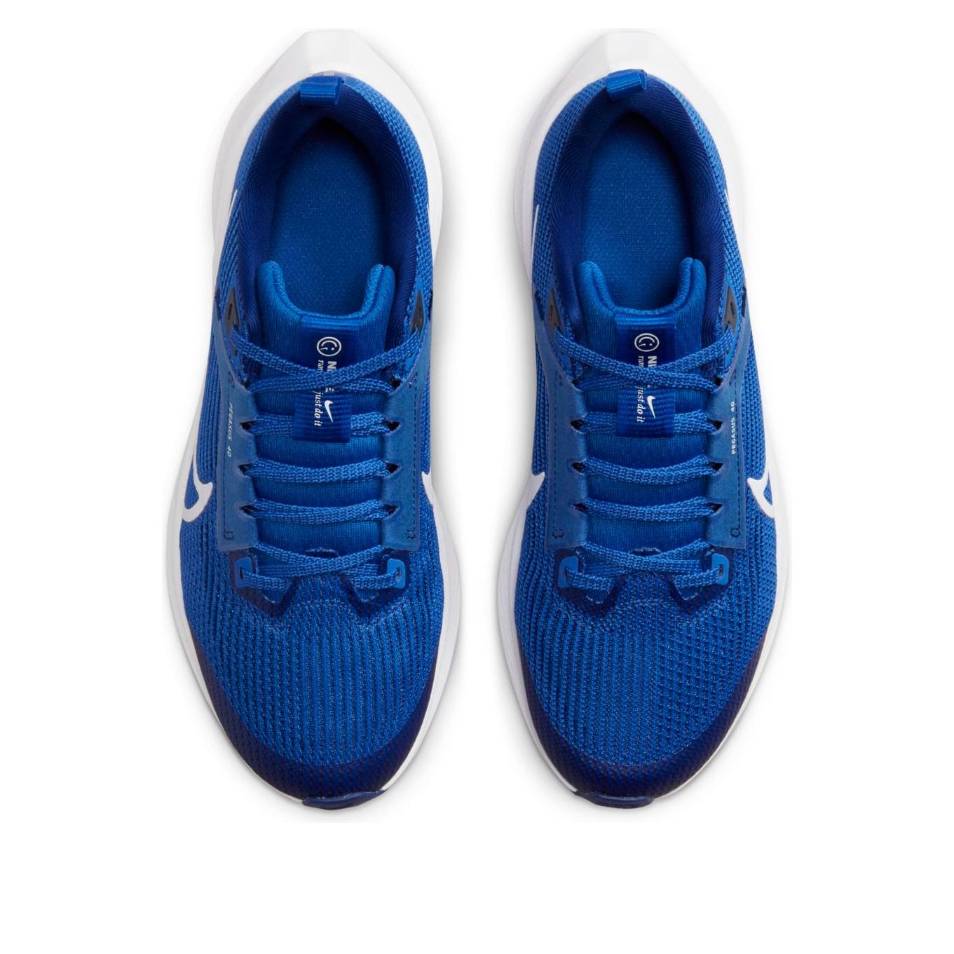 (GS) Nike Air Zoom Pegasus 40 'Game Royal' DX2498-400
