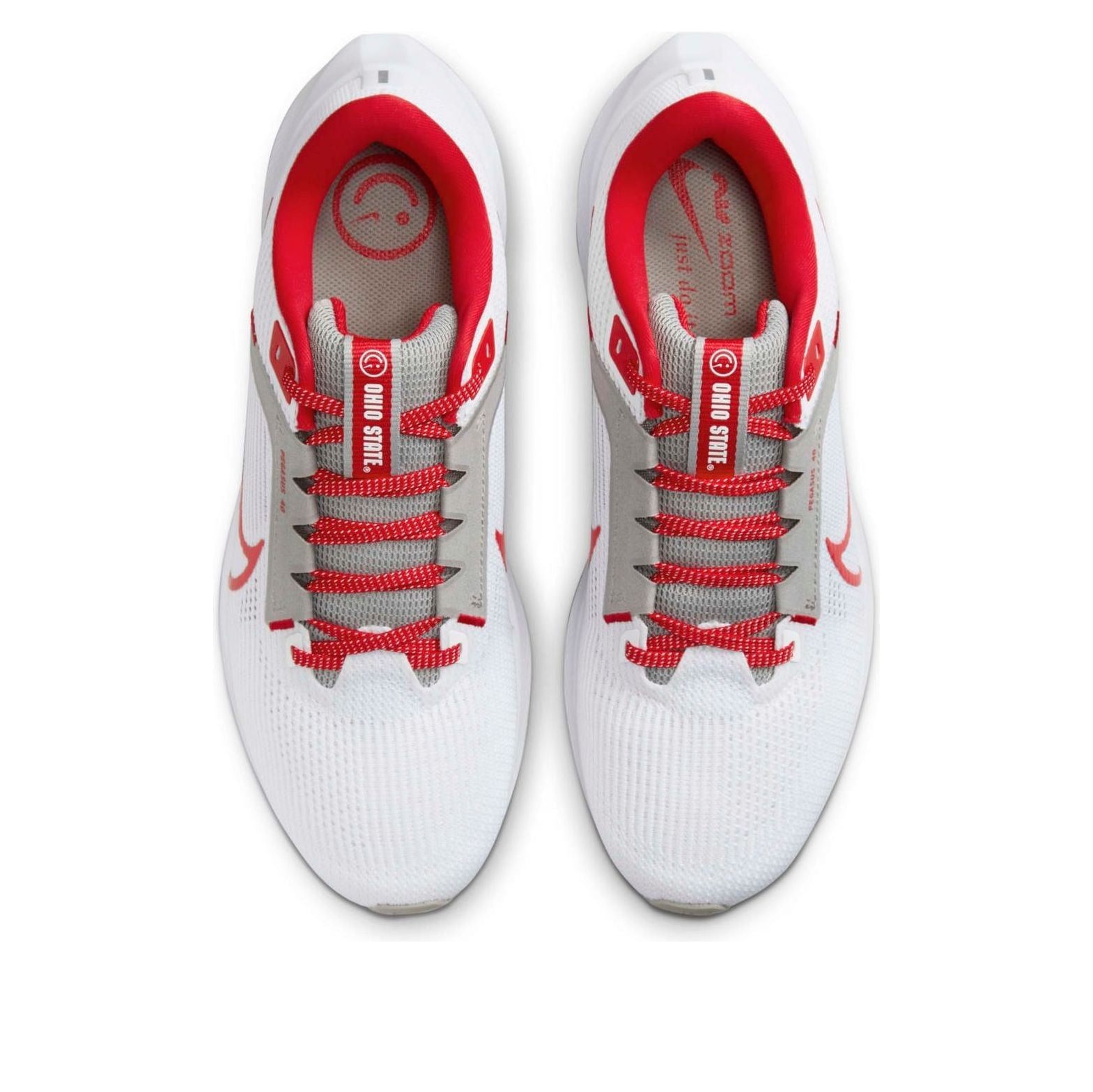 Nike Air Zoom Pegasus 40 'Ohio State' DZ5969-100