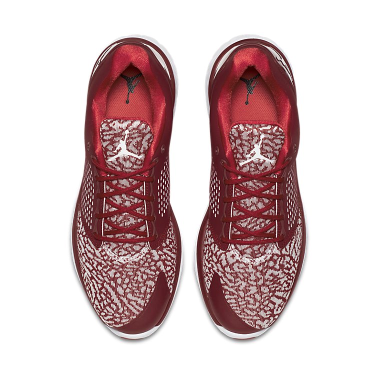Air Jordan Trainer ST 820253-602