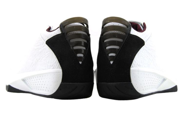 Air Jordan 20 OG 3/4 'White Garnet' 312348-101