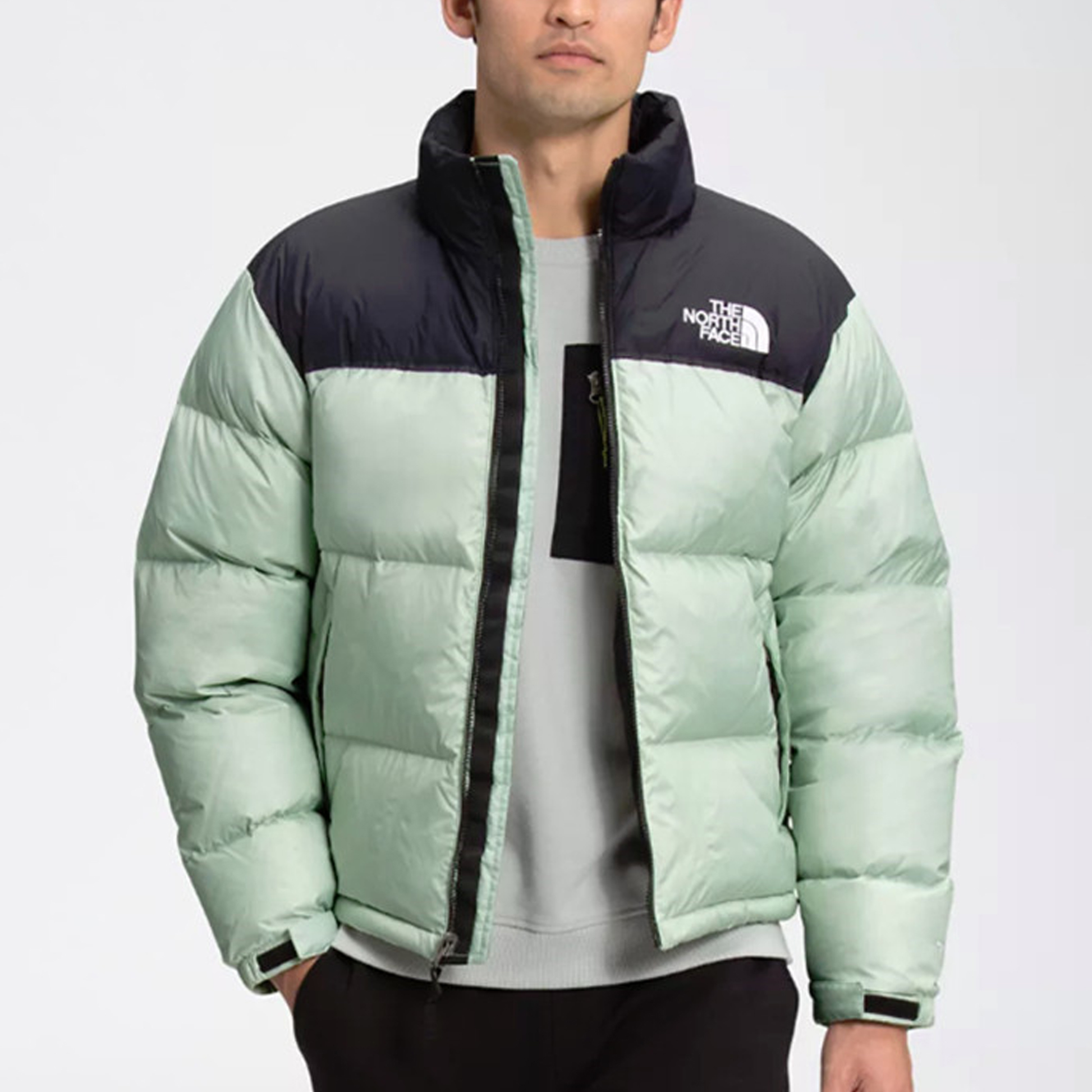 THE NORTH FACE FW22 Novelty Nuptse Down Jacket NJ1DN50K