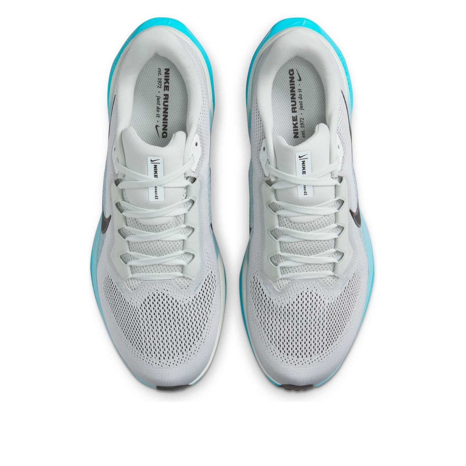 Nike Air Zoom Pegasus 41 'Light Silver Denim Turquoise Dusty Cactus Black' FD2722-012