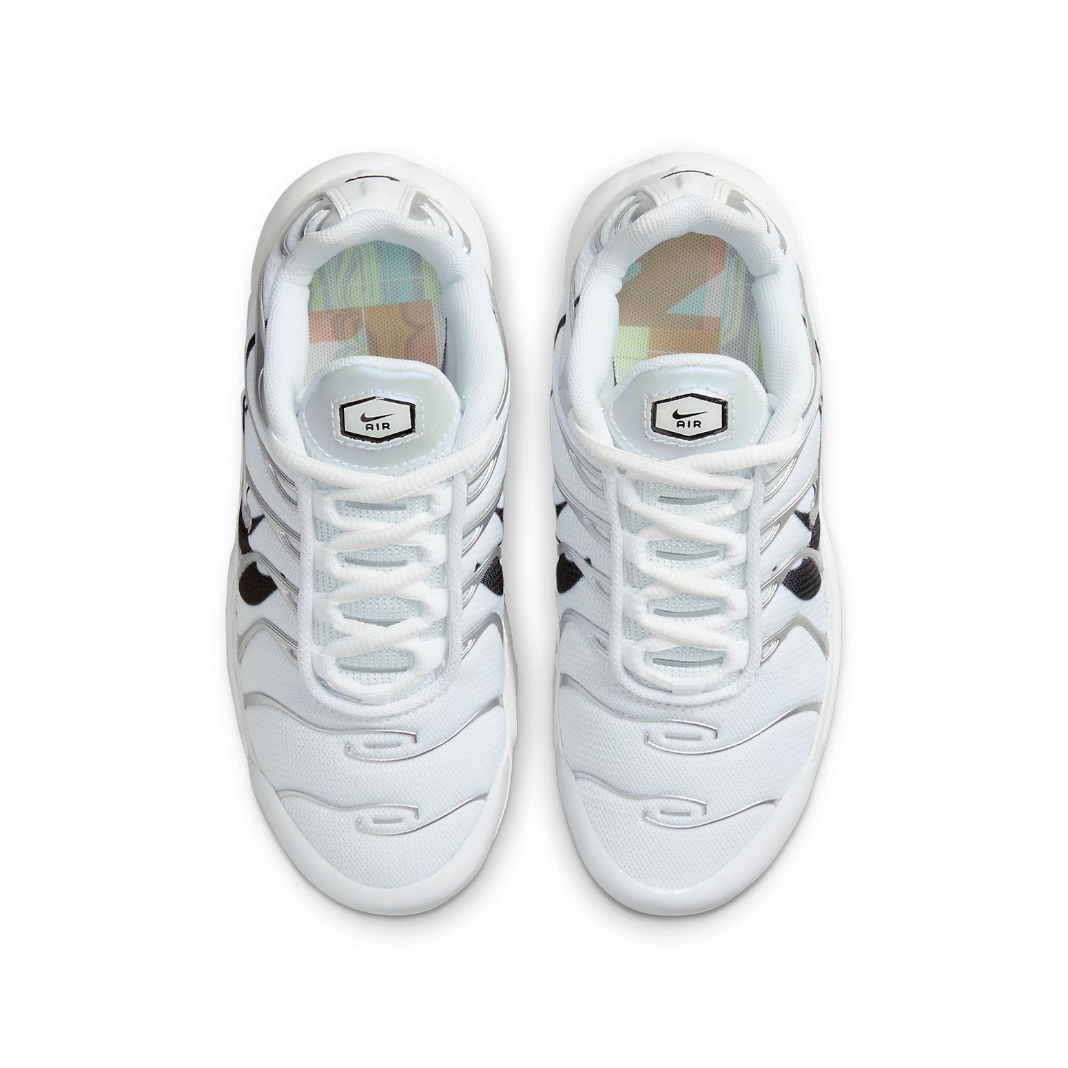 (GS) Nike Air Max Plus Silver Swoosh 'Black White' DV7151-100