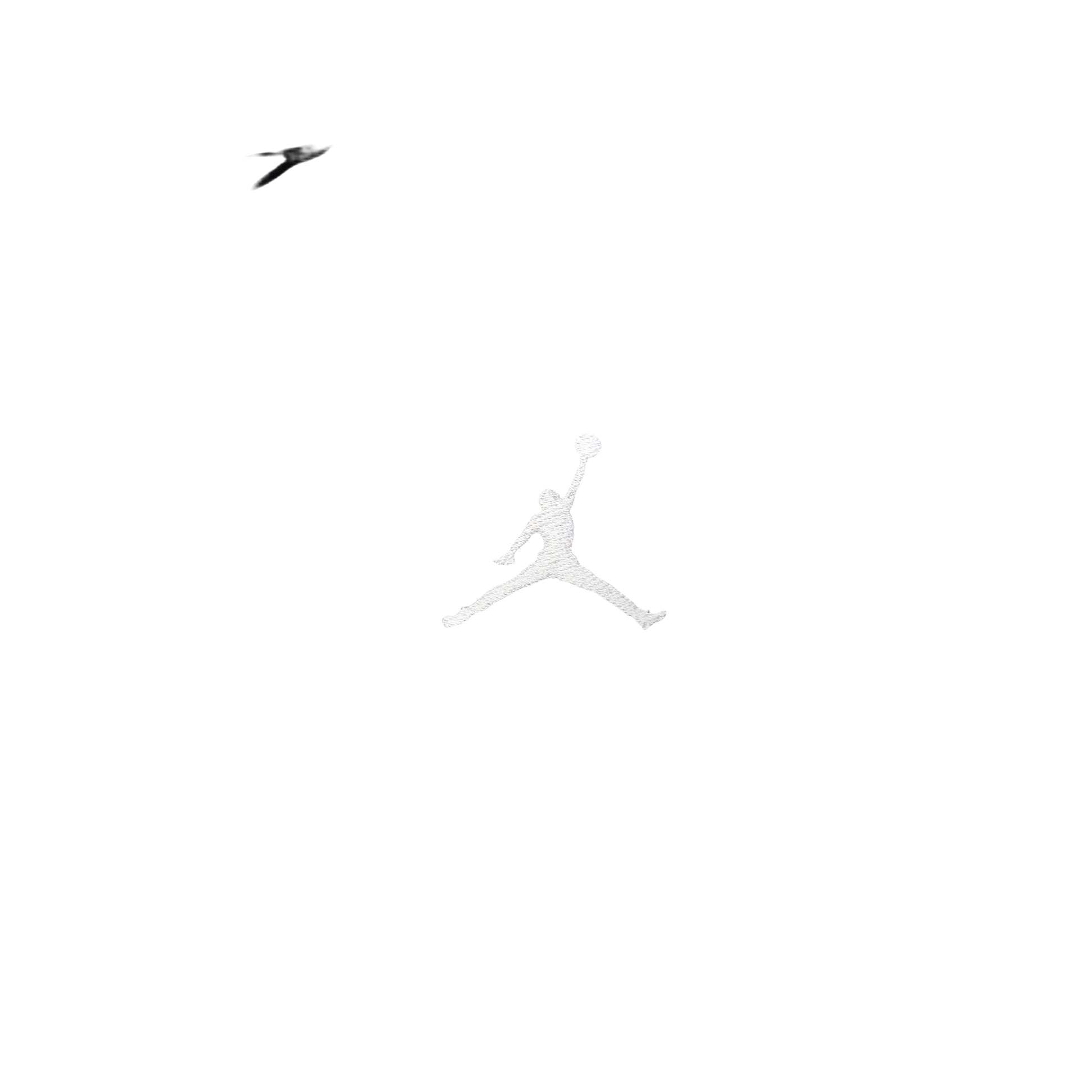 Air Jordan Brooklyn Therma-FIT Loose-Fit Puffer Jacket 'Black' HV0532-010