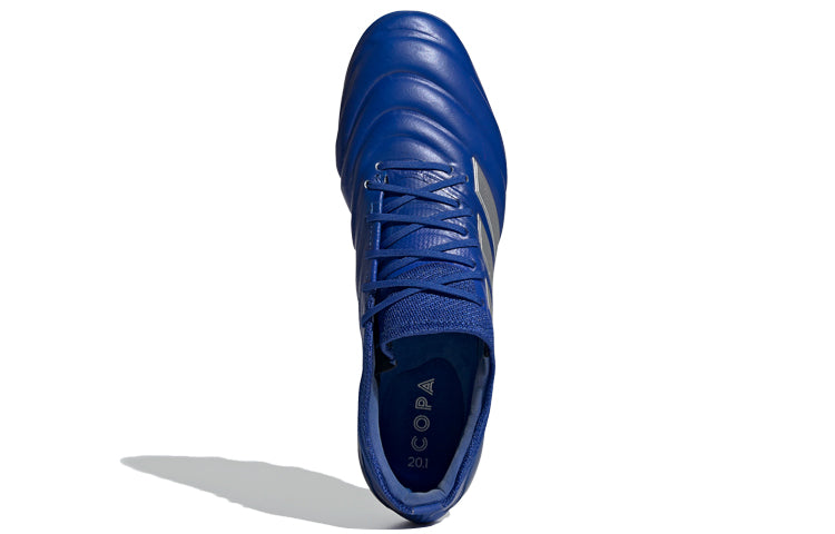 adidas Copa 20.1 AG 'Blue Grey' EH0880