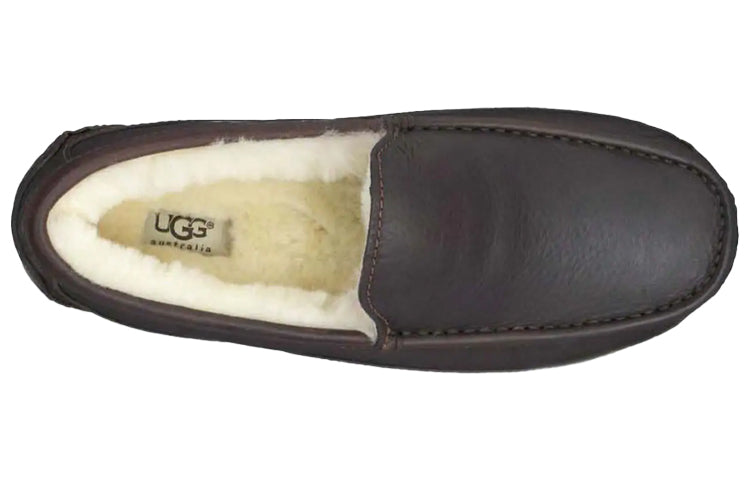 UGG Ascot Leather Slipper 'Brown' 5775-CTEA