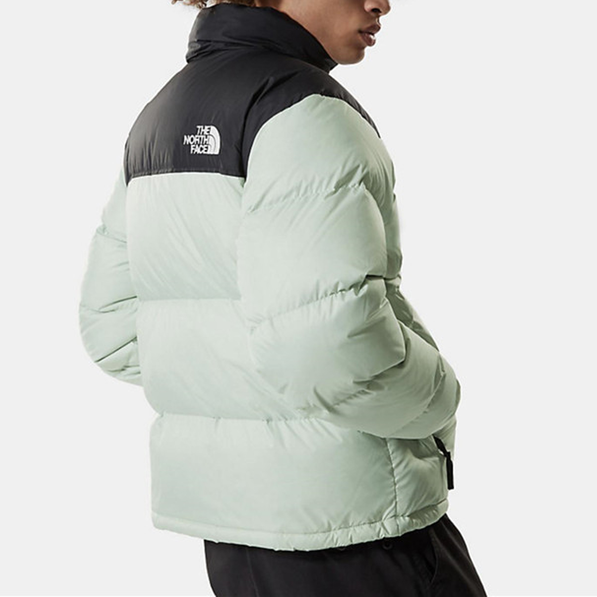 THE NORTH FACE FW22 Novelty Nuptse Down Jacket NJ1DN50K