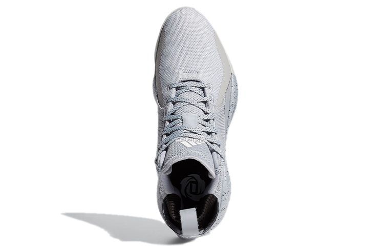 adidas D Rose 773 2020 'Halo Silver' FX2529