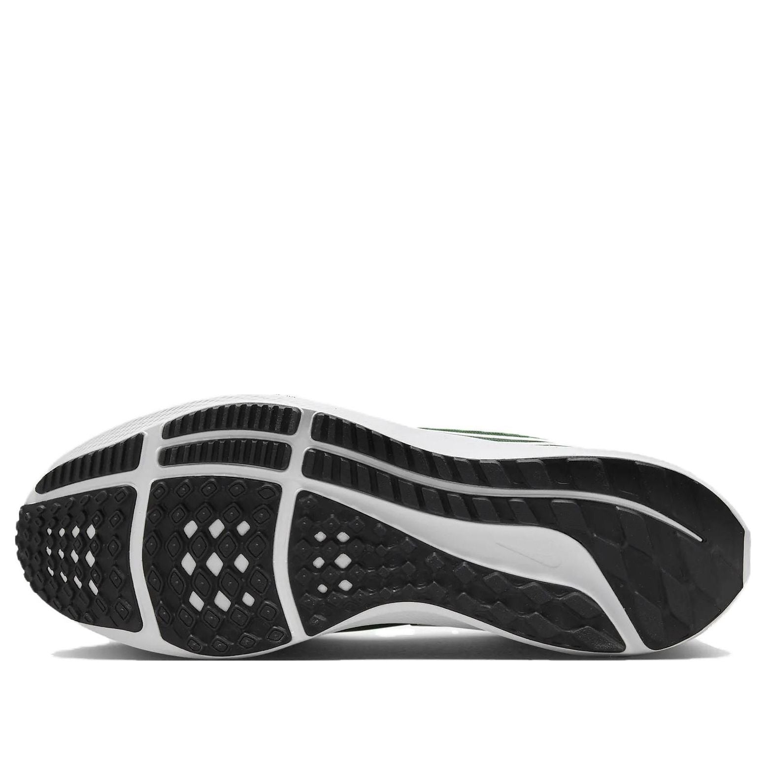 Nike Air Zoom Pegasus 39 Turbo 'Gorge Green' DM0164-300