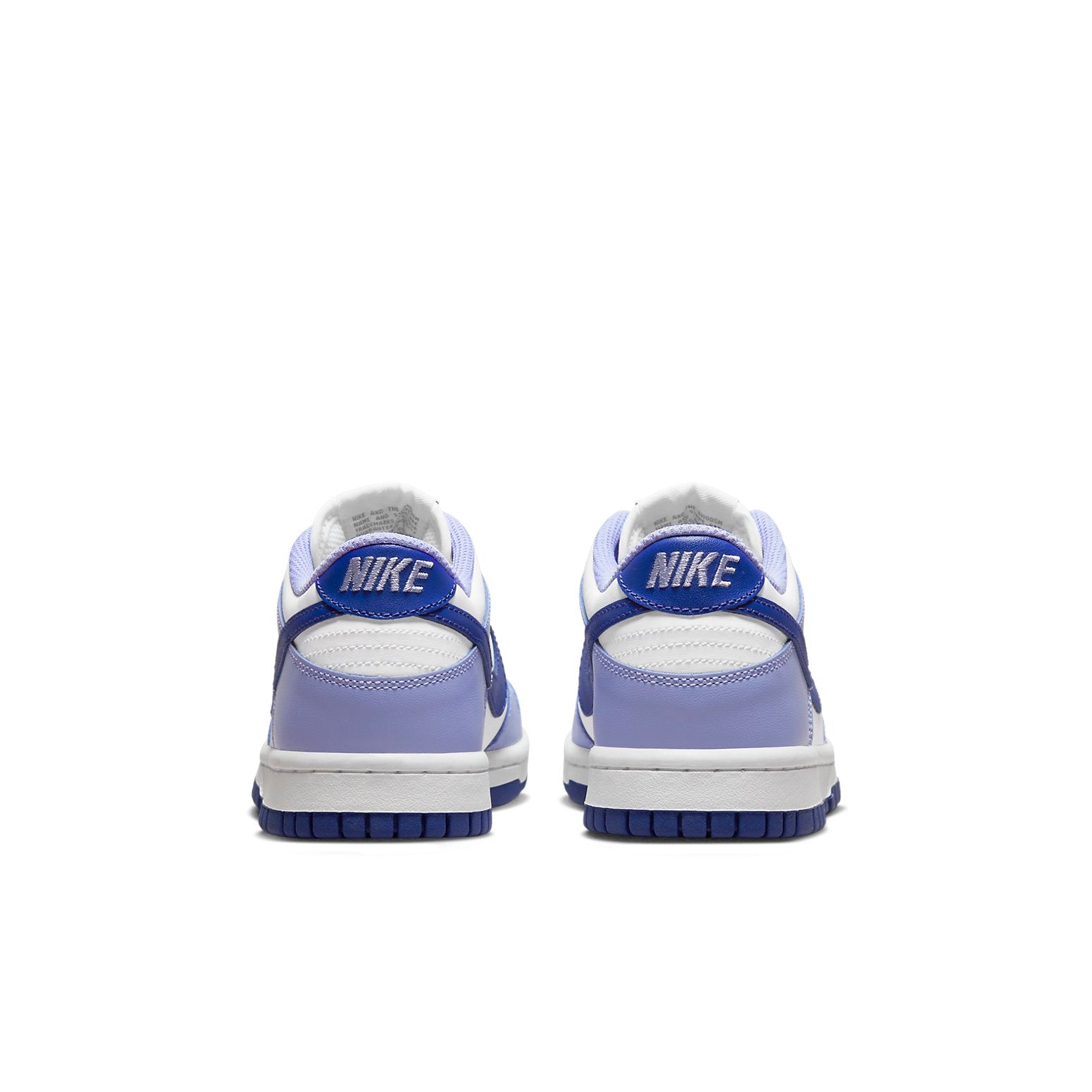 (GS) Nike Dunk Low 'Blueberry' DZ4456-100