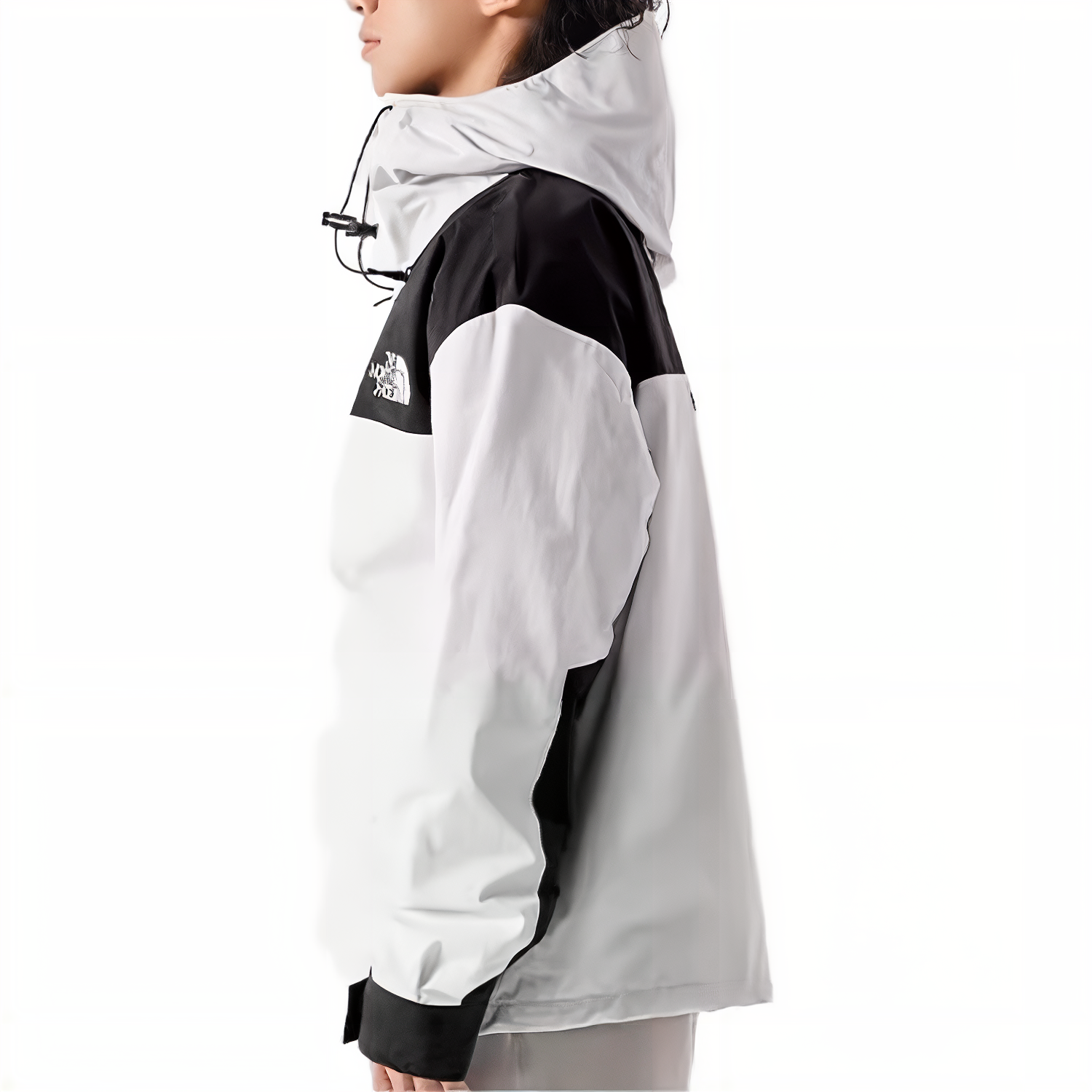 THE NORTH FACE FW23 1986 Icon Logo Jacket 'White' NF0A7UR9-N3N