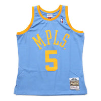 Mitchell & Ness NBA Los Angeles Lakers 2001/02 HWC Swingman Jersey 'Robert Horry Powder Blue' 200105799