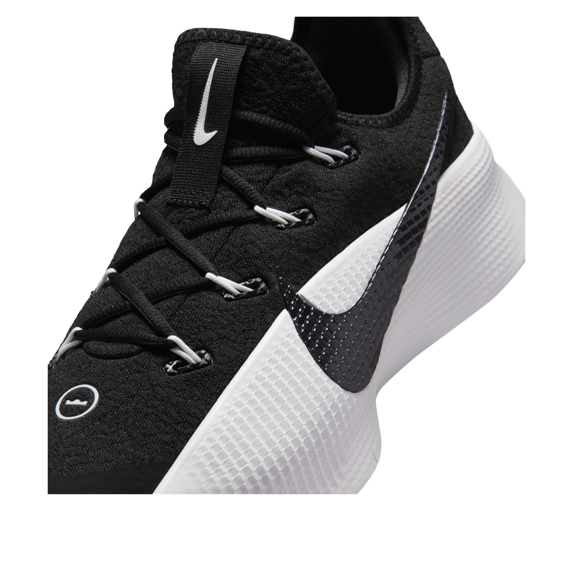 Nike LeBron TR 1 'Black White' FJ6151-007