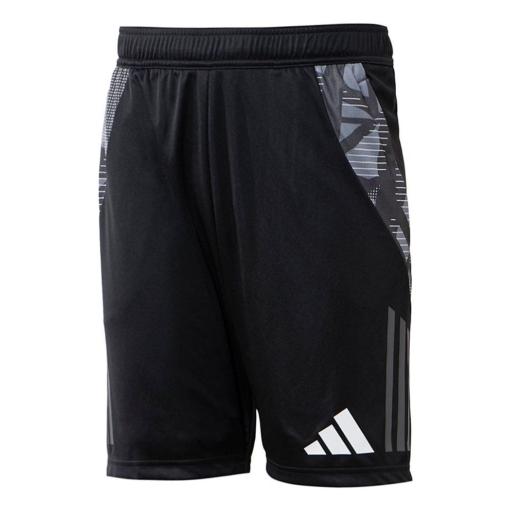 adidas Tiro 24 Competition Training Football Shorts Asia Sizing 'Black Grey' IL8256