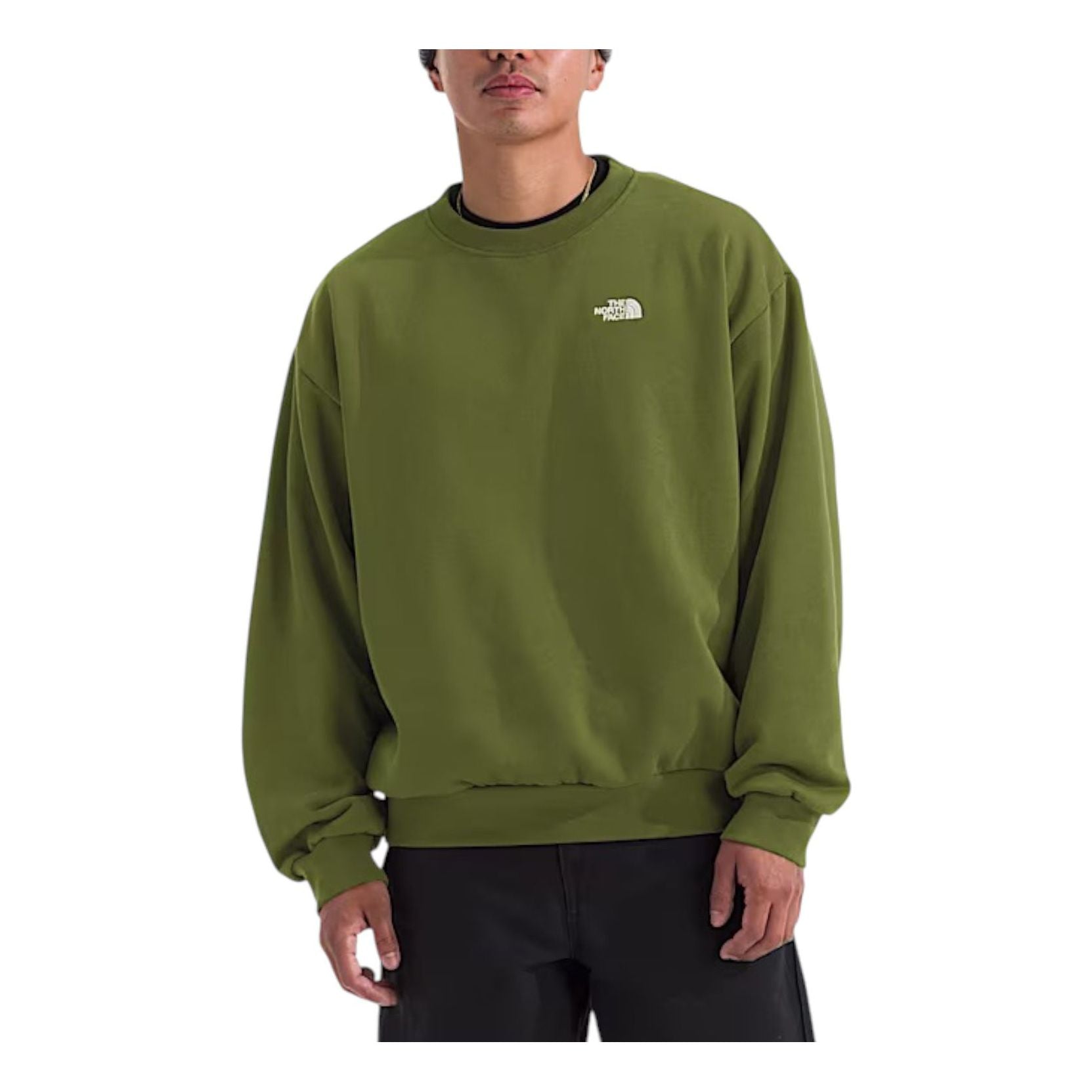 THE NORTH FACE Evolution Simple Dome Oversized 'Woodland Green' NF0A8FKR-BRI