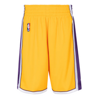 Mitchell & Ness NBA Authentic Shorts Los Angeles Lakers Home 2009-10 'Yellow Purple' ASHRGS18485-LALLTGD09