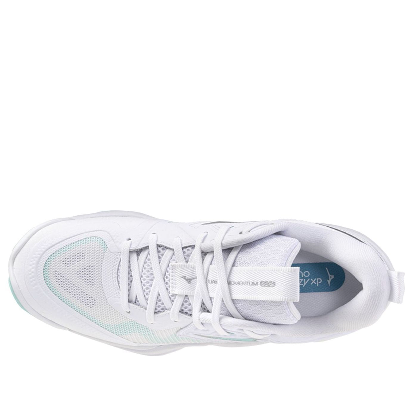 (WMNS) Mizuno Wave Momentum Elite 'White Blue Tint' V1GC251245