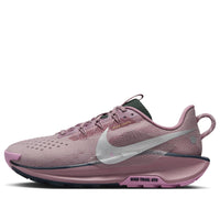 (WMNS) Nike Pegasus Trail 5 'Plum Dust Pink Metallic Silver' DV3865-500