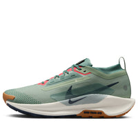 Nike Pegasus Trail 5 Gore-Tex 'Jade Horizon' FQ0908-300
