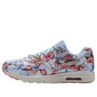 (WMNS) Nike Air Max 1 Ultra 'Paris' 747105-400