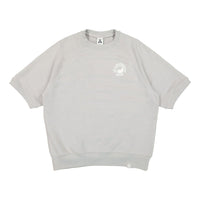 Men's Nike ACG Dri-FIT Solid Color Logo Short Sleeve Pullover Light Iron Ore DN3914-012