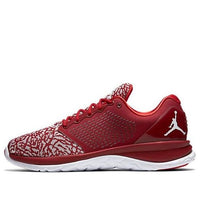 Air Jordan Trainer ST 820253-602