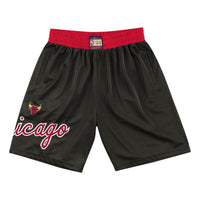 Mitchell & Ness x NBA Chicago Bulls 1975 Team Heritage Shorts 'Black' SHORGS19001-CBUBLCK75