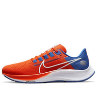 Nike Air Zoom Pegasus 38 'Florida' DJ0826-800