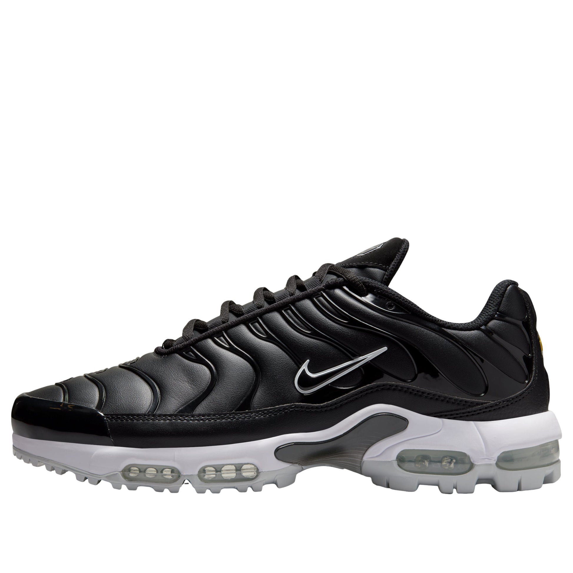 Nike Air Max Plus Golf 'Black White' FZ4150-001