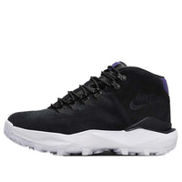 Nike Cygnal 'Black Court Purple' FV4332-001