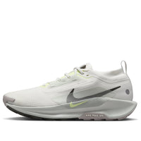 Nike Pegasus Trail 5 Gore-Tex 'Summit White Sequoia' FQ0908-102