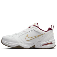 Nike Air Monarch IV 'Year Of The Snake' IB4607-171