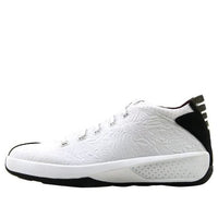 Air Jordan 20 OG 3/4 'White Garnet' 312348-101