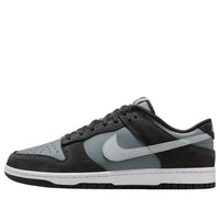 Nike Dunk Low 'Black Light Smoke Grey' IB3079-001